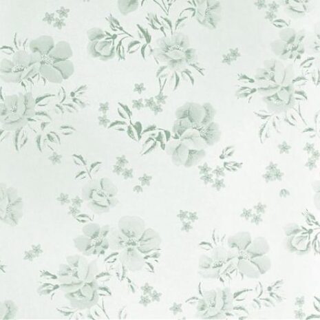 513_685_600_600_scale