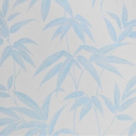 544_712_600_600_scale