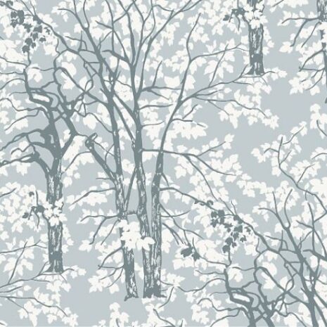 626_807_600_600_scale