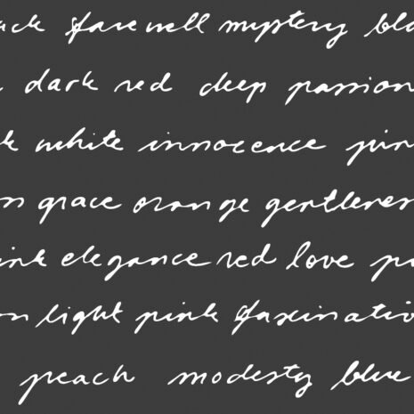 sandudd_rolleri_IX_5284-2 sandudd_rolleri_IX_5284-2