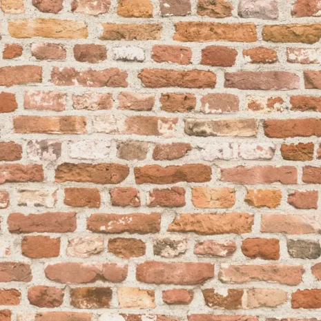 7957a861f642265fa32faa6a1509f1be_1920x1920 7957a861f642265fa32faa6a1509f1be_1920x1920