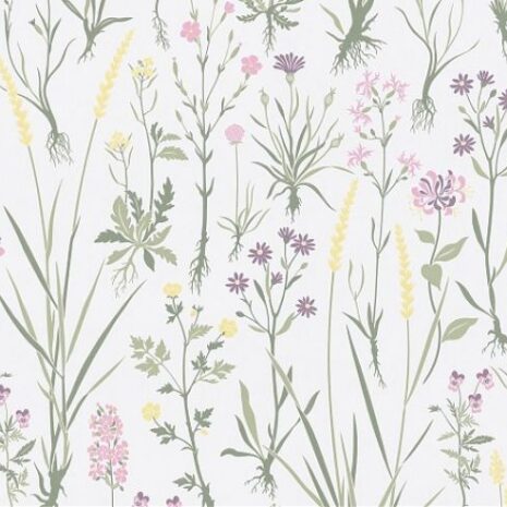 455_503_600_600_scale 455_503_600_600_scale