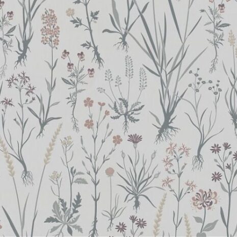 457_505_600_600_scale